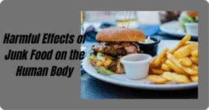 Harmful Effects of Junk Food on the Human Body