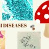 Fungi Diseases