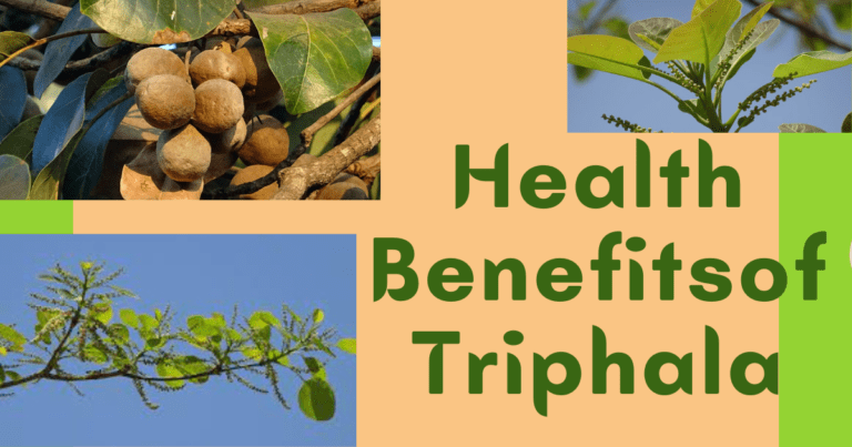 Health Benefits of Triphala