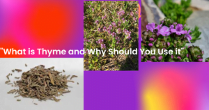 What is Thyme