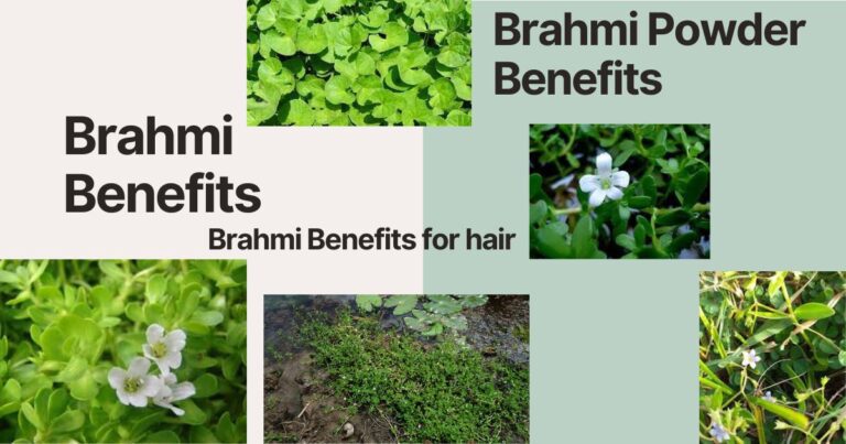 Brahmi Benefits