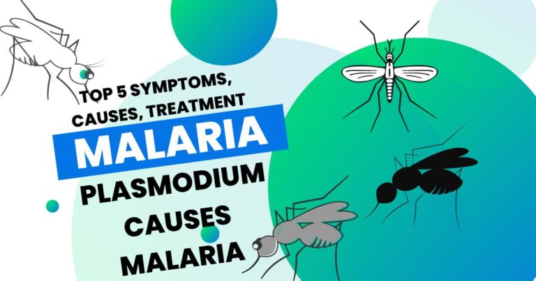 Malaria