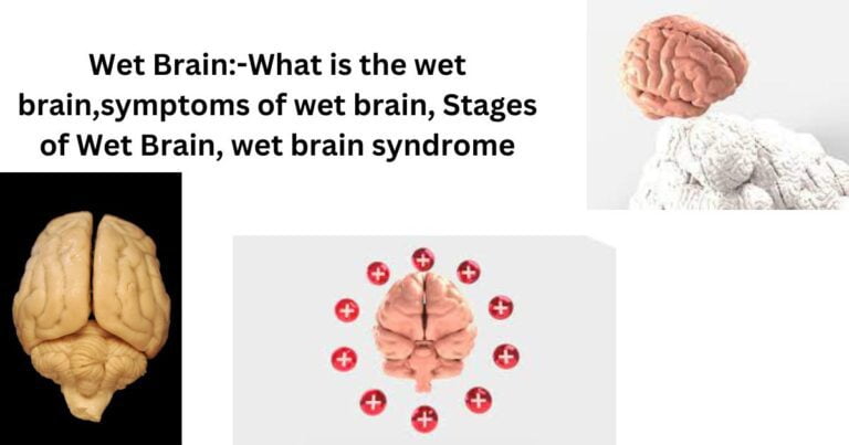 Wet Brain