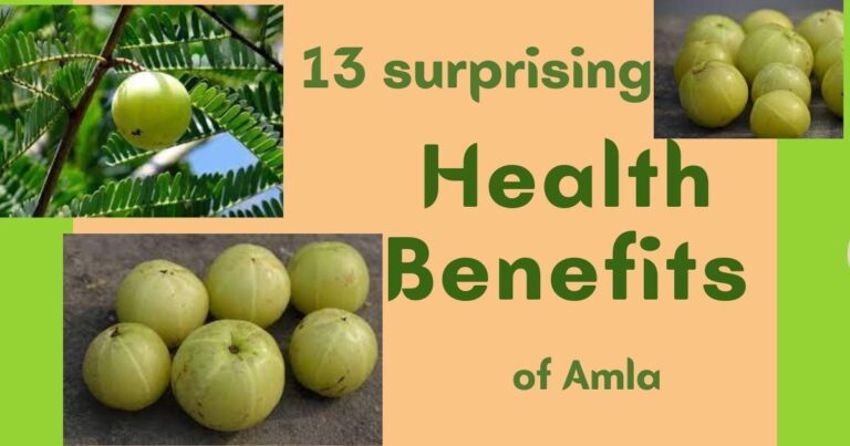 Amla Powder