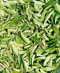 Curry Leaves