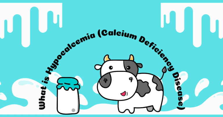 Hypocalcemia