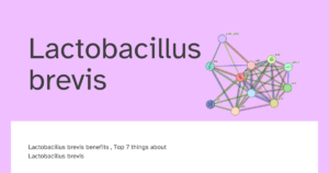 Lactobacillus brevis