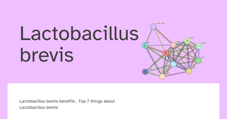 Lactobacillus brevis